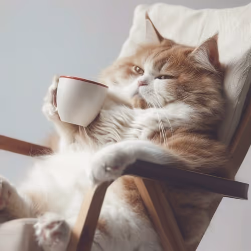 0xe779234494ad440c79c0040b5c31d3090ddbce6e