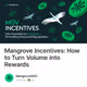 Mangrove Incentives: How to Turn Volume into Rewards