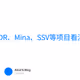 关于IMX、RNDR、Mina、SSV等项目看法｜疑问解答