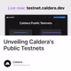 Unveiling Caldera's Public Testnets