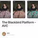 The Blackbird Platform - AVC