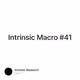 Intrinsic Macro #41