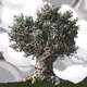 Pixel Nature Chronicles