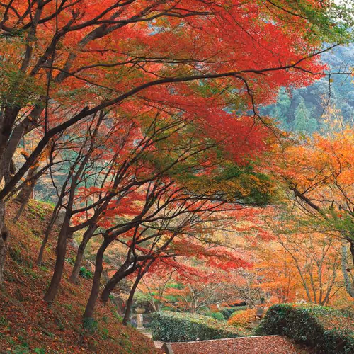 Pixel phantom legends