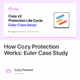 How Cozy Protection Works: Euler Case Study