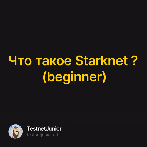 Что такое Starknet ? (beginner)