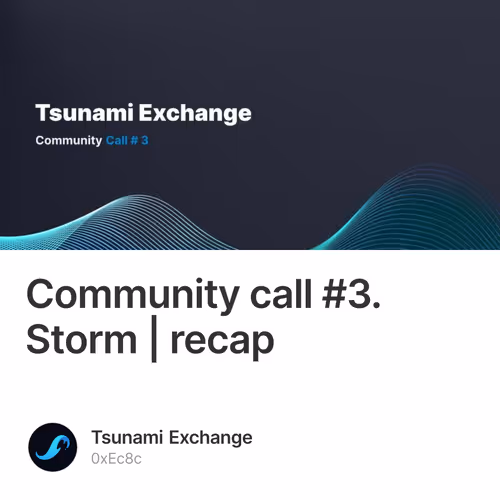 Community call #3. Storm | recap