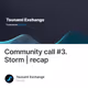 Community call #3. Storm | recap