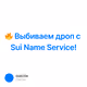 🔥 Выбиваем дроп с ​Sui Name Service!