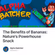 The Benefits of Bananas: Nature's Powerhouse Snack