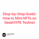 Step-by-Step Guide: How to Mint NFTs on SeekHYPE Testnet