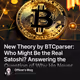 New Theory by BTCparser: Who Might Be the Real Satoshi? Answering the Question of Why He N
