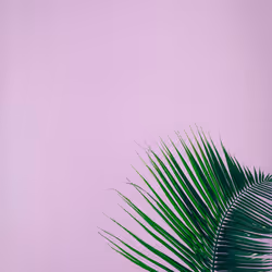 アイテム メディア プレースホルダー