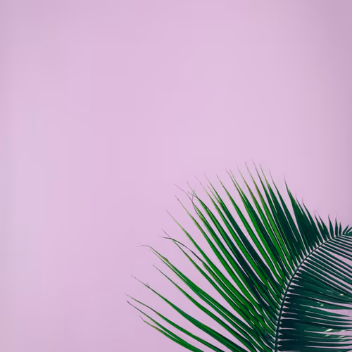 Digital Pulse