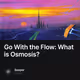 Go With the Flow: What is Osmosis?