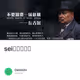 sei测试网教程