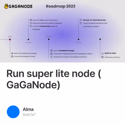 Run super lite node (GaGaNode)