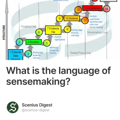 What is the language of sensemaking?