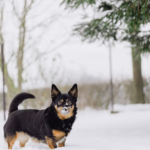 0x98de6f19b7a644c799777cfe1aff22ed9d6e546a