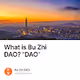 What is Bu Zhi DAO DAO