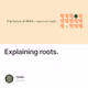 Explaining roots.