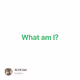 What am I?