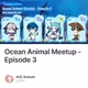 Ocean Animal Meetup - Episode 3
