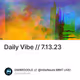 Daily Vibe // 7.13.23