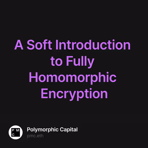A Soft Introduction to Fully Homomorphic Encryption