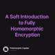 A Soft Introduction to Fully Homomorphic Encryption