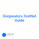 Deepwaters TestNet Guide