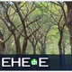 Create Scaffold-Eth 2 Projects on Windows using Git Worktree Pattern
