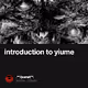 introduction to yiume