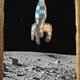 Birbs on the Moon_Test4