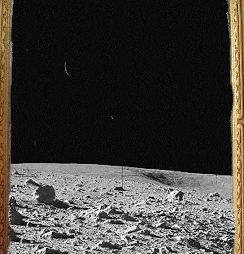 Birbs on the Moon_Test4