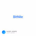 加密矿业公司 BitNile 将于明年上半年启动基于比特币的市场