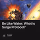 Be Like Water: What is Surge Protocol?