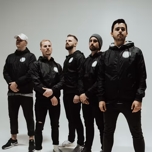 Never Back Down - Feed Me Your Lies