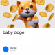 baby doge