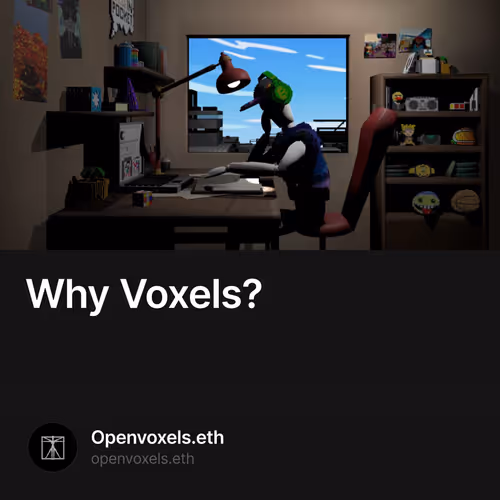Why Voxels?