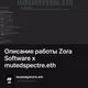 Описание работы Zora Software x mutedspectre.eth