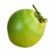 coconut