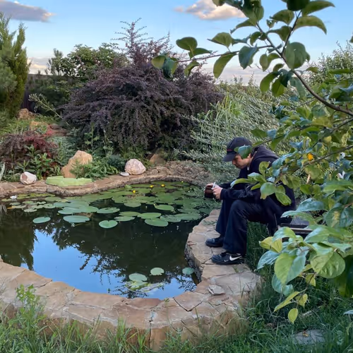 Discotopia - The Summer Rains Have Fallen