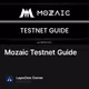 Mozaic Testnet Guide