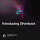 Introducing Silverback