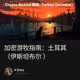 加密游牧指南：土耳其（伊斯坦布尔 ）