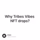 Why Tribes Vibes NFT drops?