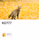 KG777