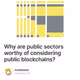 Why are public sectors worthy of considering public blockchains?