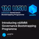 Introducing vdAMM: Governance Bootstrapping Programme